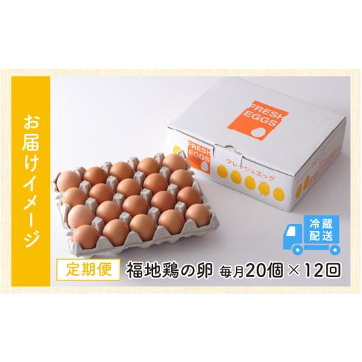 ふるさと納税 福井県 あわら市 福井ブランド「福地鶏」の卵 20個　濃厚で甘くておいしい！（10個入×2パック）定期便