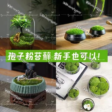 🌱🌱純天然孢子粉 苔蘚青苔植物種子 吸水上水石盆栽 假山盆 鋪面微景觀孢子粉四季鮮活 園藝水族通用