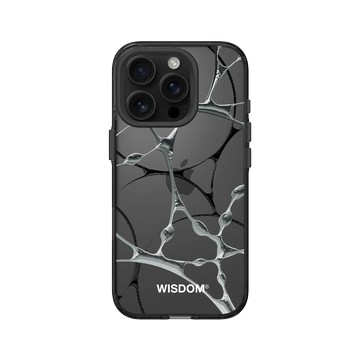 iPhone 16 Pro Clear (相機按鈕) 酷墨灰 - WISDOM - SILK