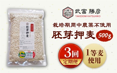 胚芽押麦500g（1等麦使用）特別栽培農産物 麦[HAJ034]
