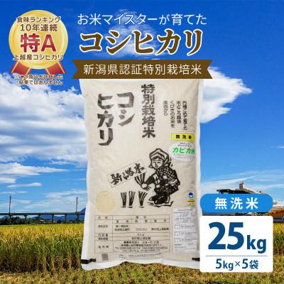 ふるさと納税 上越市 お米マイスターが育てた特別栽培米 精米コシヒカリ 上越産 令和5年産 25kg(5kg×5袋)無洗米