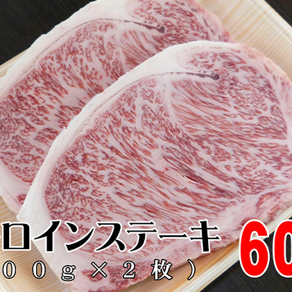 牛肉 飛騨牛 サーロイン ステーキ セット 600ｇ （ 1枚 約300ｇ × 2枚 ） 黒毛和牛 Ａ5 美味しい お肉 牛 肉 和牛 サーロインステーキ 