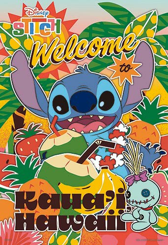 百耘圖 - Stitch史迪奇(10)拼圖300片 HPD0300S-249