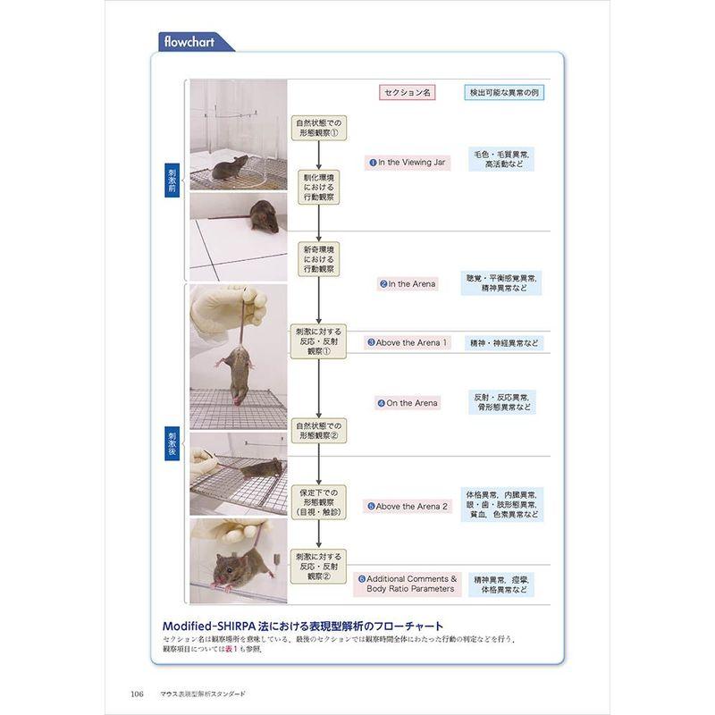 マウス表現型解析スタンダード~系統の選択,飼育環境,臓器・疾患別解析のフローチャートと実験例