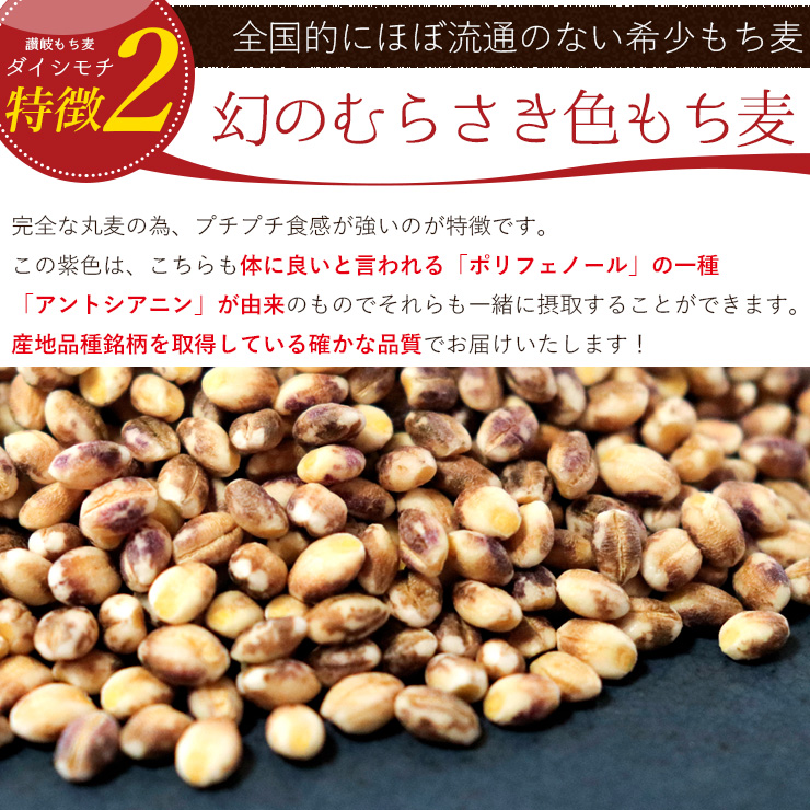 レトルトカレー １食 ご飯がいらない キーマ風もち麦カレー 中辛 (180g) 1袋 キーマカレー風 香川県 讃岐もち麦ダイシモチ 中辛 簡単調理 非常食 災害用 備蓄