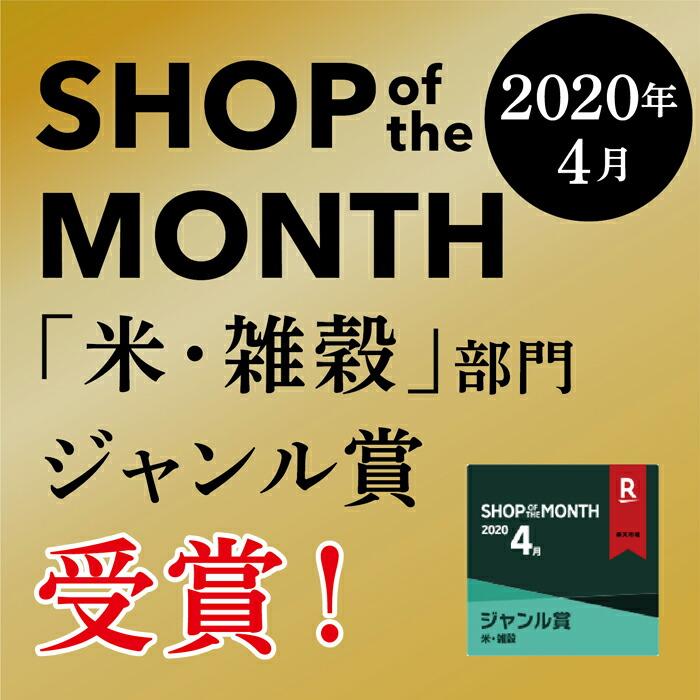 米 5kg 送料無料 白米 無洗米 こしひかり  令和三年産 福井県産 5キロ お米 玄米 ごはん単一原料米 保存食 米 真空パック 保存米