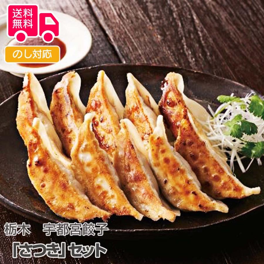 栃木 宇都宮餃子さつきセット プレゼント ギフト 内祝 御祝 贈答用 送料無料 お歳暮 御歳暮 お中元 御中元