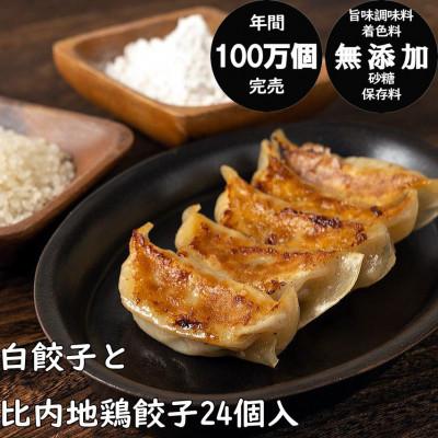 ふるさと納税 秋田市 年間100万個完売!餃子の餃天の