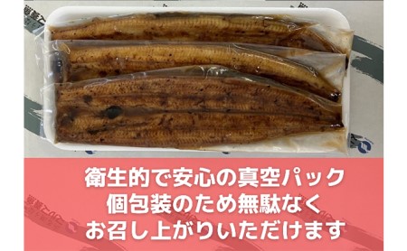 うなぎ 浜名湖 蒲焼き 2本 タレ 山椒 お吸い物 セット 国産 鰻 浜名湖うなぎ 浜名湖産 蒲焼 真空パック 惣菜 おかず ごはんのお供 魚 魚介 魚介類 加工食品 静岡 湖西市 湖西