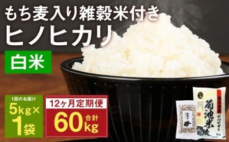 熊本県菊池産 ヒノヒカリ 精米 計60kg(5kg×12) もち麦入り雑穀米 計2.4kg(200g×12) 低温保管 残留農薬ゼロ