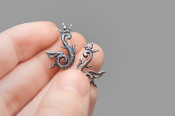 小龍耳朵登山者