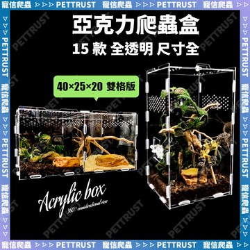 爬蟲壓克力飼養盒 爬蟲飼養箱  守宮 爬蟲箱 飼養箱守宮 睫角守宮 睫角飼養箱 樹棲盒 守宮造景 守宮飼養箱 守宮躲避屋