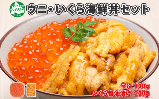 1768.  うに 100g いくら醤油漬け 200g ウニ チリ産 冷凍 いくら 二色丼 雲丹 イクラ 海鮮 海鮮丼 うに丼 いくら丼 いくら醤油漬け 送料無料 北海道 弟子屈町