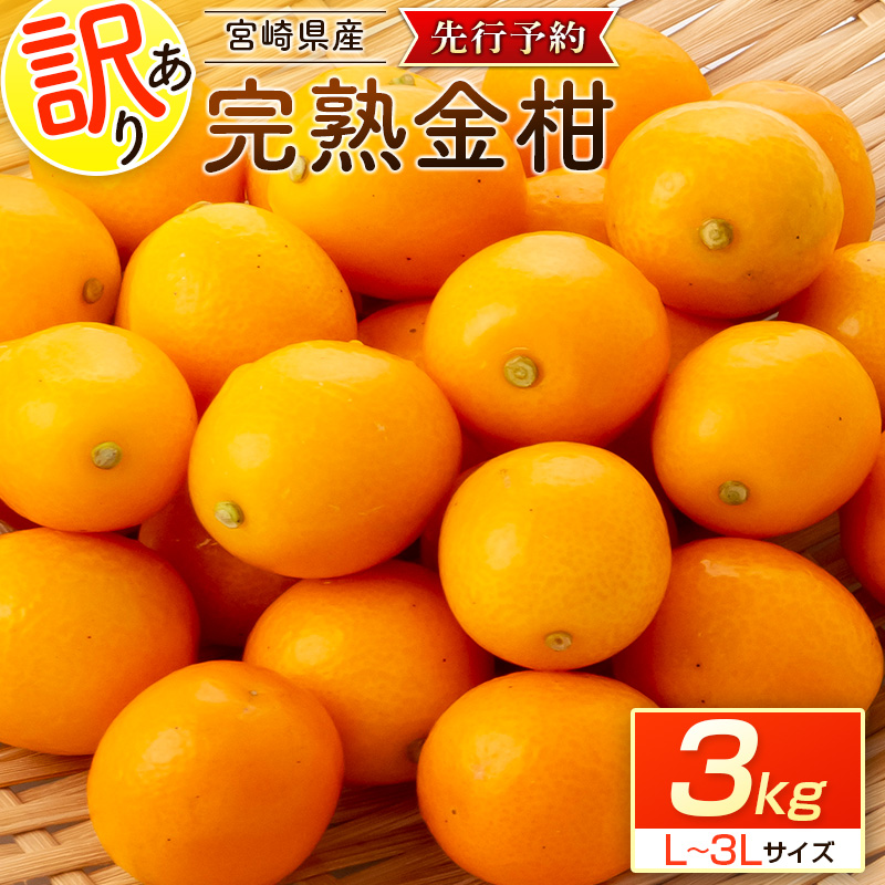 ［訳あり］＜先行予約＞宮崎県産 完熟金柑 3kg（L～3Lサイズ）