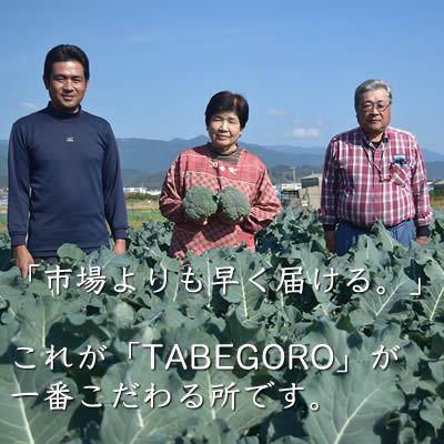 ふるさと納税 香美市 旬の採れたて野菜セット　10品目「新鮮だから美味しい!」