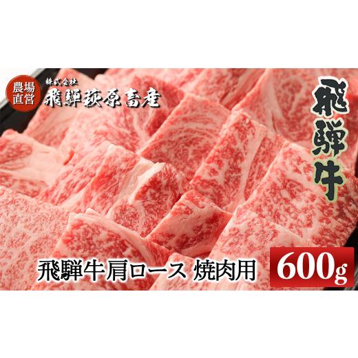 ふるさと納税 岐阜県 下呂市 飛騨牛肩ロース  600g（焼肉用）国産 牛肉 ブランド牛 牛 肉 焼き肉 焼肉用 焼き肉用 ギフト 贈答 肉ギフト 贈り物 高級