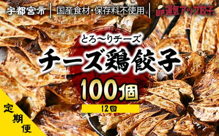 『定期便』宇都宮餃子　チーズ鶏餃子　保存料不使用100個　全12回