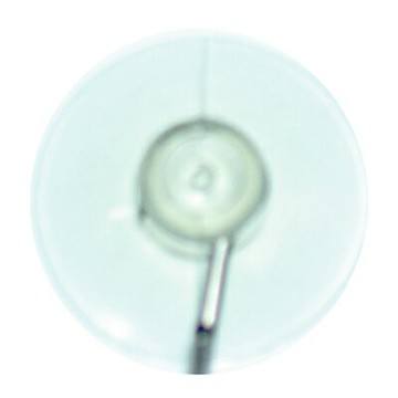 【文具通】吸盤性掛勾小[8] I1110039【APP滿額下單10%點數(單一帳號最高1000點)】4/30止