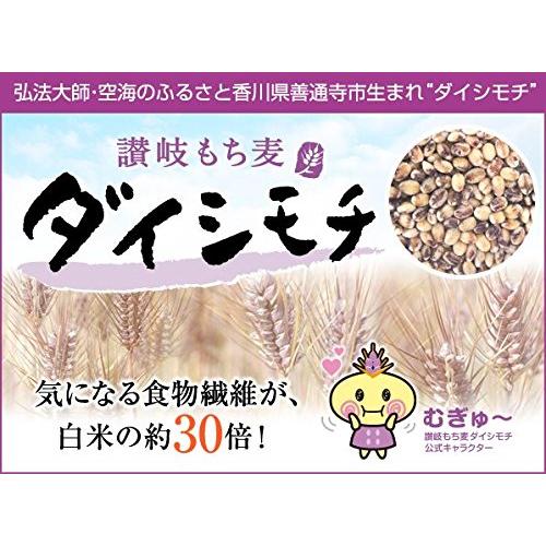 讃岐もち麦ダイシモチ　500ｇ　原材料 裸麦  [並行輸入品]