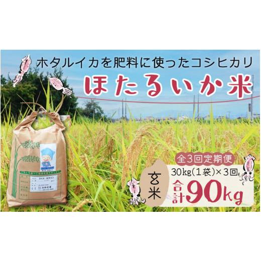 ふるさと納税 富山県 滑川市 ほたるいか米（玄米30kg）×3回 計90kg