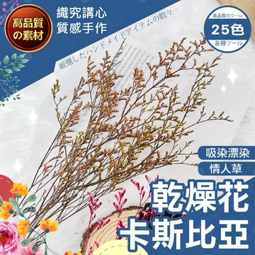 【隔日送達🚀】永生卡斯比亞 永生花 乾燥花 不凋花永生花 手作花浮游花 永生花材 捧花攝影道具 永生 室內裝飾