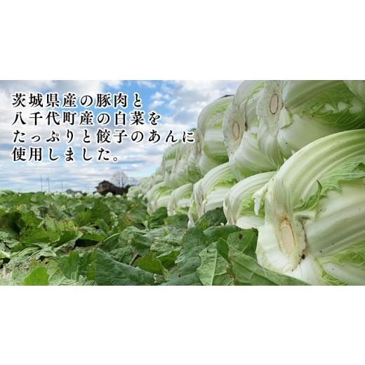 ふるさと納税 茨城県 八千代町 生産量日本一！八千代町の白菜を使った ジューシー白菜餃子 50個（冷凍）ぎょうざ 冷凍餃子 惣菜 中華 点心 お取り…