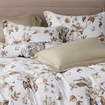 貝淇小舖 60支100%天絲床包兩用被  床包＋兩用被＋枕套x2  加大  穗夢