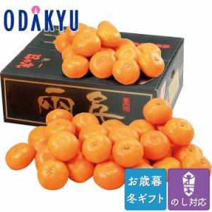 お歳暮 送料無料 2023 みかん フルーツ 愛媛県産 日の丸みかん S～Lサイズ ※沖縄・離島へは届不可