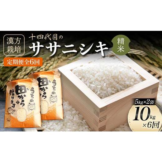 ふるさと納税 山形県 新庄市 令和5年産 漢方栽培 低温熟成乾燥 十四代目のササニシキ 5kg×2袋 （精米）全6回 米 お米 おこめ 山形県 新庄市 F3S-17…