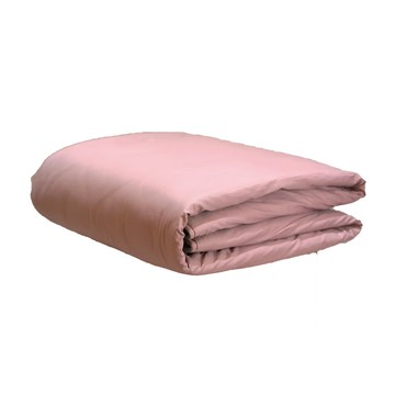 【AFC 豪紳纖維】石墨烯養身四季被 - 標準雙人被【B1BS5128PNK000L】