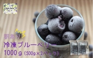 シルクファーム産　冷凍ブルーベリー1000g（500g×2パック）