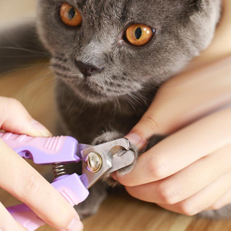 猫 犬 ペット 爪切り 小型動物専用 ハサミ 軽量 持ちやすい ネイル