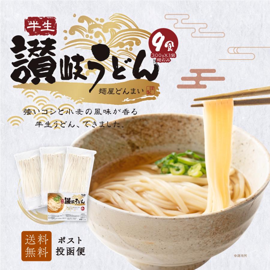 送料無料 半生うどん 9食 （300g×3）麺のみ 讃岐うどん ポイント利用 お試し ポイント消化 ご当地グルメ 食品 産直 おすすめ ポイント消費 食品 お取寄せ 香川