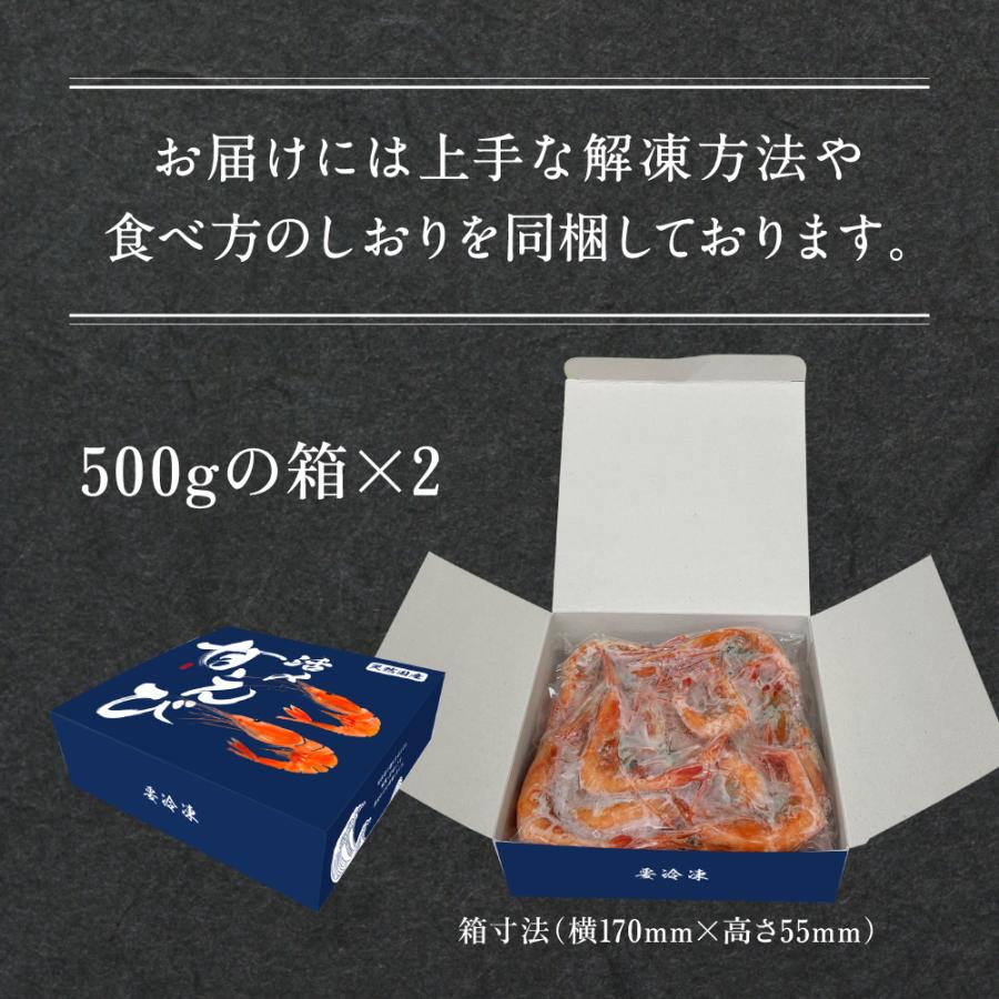 甘えび  甘海老 天然甘エビ 刺身 生食可 福井県産 純国産 無添加 冷凍甘エビ 1kg（500g×2箱） 送料無料 内祝い お歳暮 プレゼント ギフト