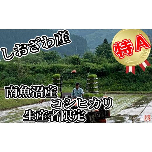 ふるさと納税 新潟県 南魚沼市 生産者限定 契約栽培 南魚沼しおざわ産コシヒカリ