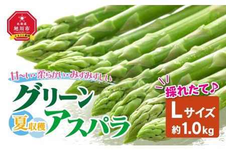 夏収穫グリーンアスパラ Lサイズ 1kg (2024年7月下旬～発送開始予定)