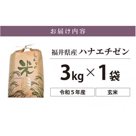 ふるさと納税 福井県 越前町 [e30-a054] ハナエチゼン 3kg 令和5年 福井県産