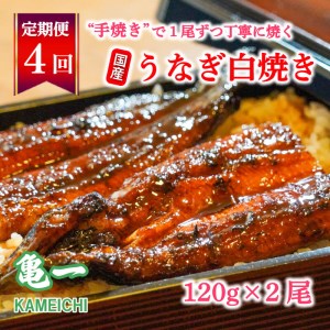 定期便 4ヶ月 国産 うなぎ 鰻 白焼 白焼き しら焼き120g 2本 うなぎ 土用 丑の日 老舗 亀一 うなぎ 特製 タレ 真空パック ひつまぶし うなぎ ギフト 贈答 冷凍 お取り寄せ うなぎ お祝い