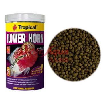 P老闆水族~TROPICAL 高蛋白花羅漢增艷飼料/幼魚成長飼料 花羅漢 暴頭飼料 凸頭飼料 羅漢