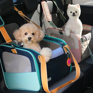 ParisDog 天天寬敞寵物汽車安全座椅