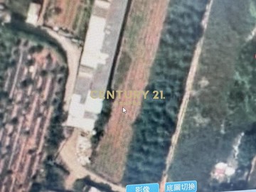 @專任@大肚區瑞井段持分農地281坪｜台中市大肚區瑞井路