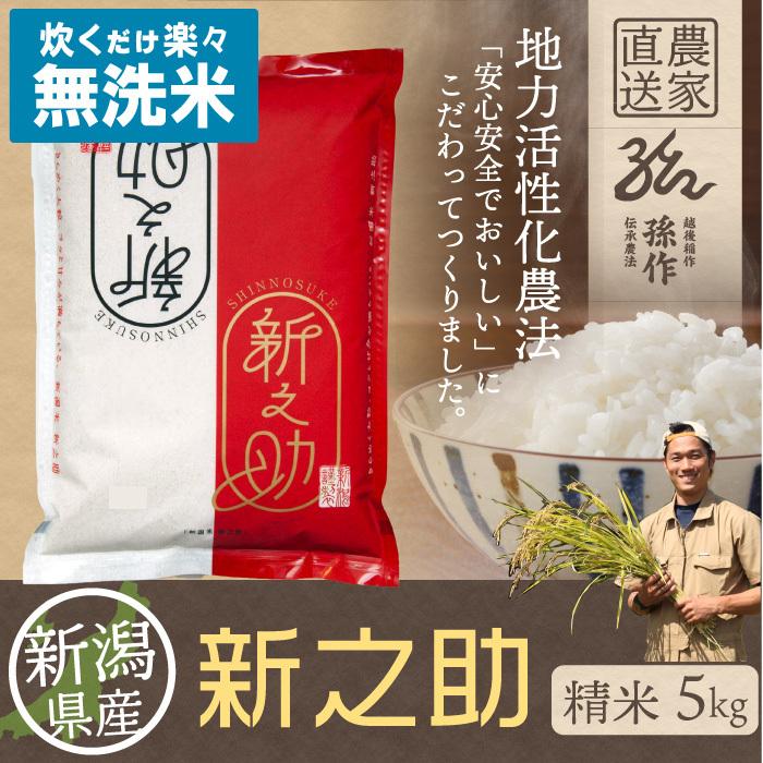 無洗米 新潟県産 新之助 白米 精米 5kg 令和5年産 新米 しんのすけ 5キロ 農家直送 お米