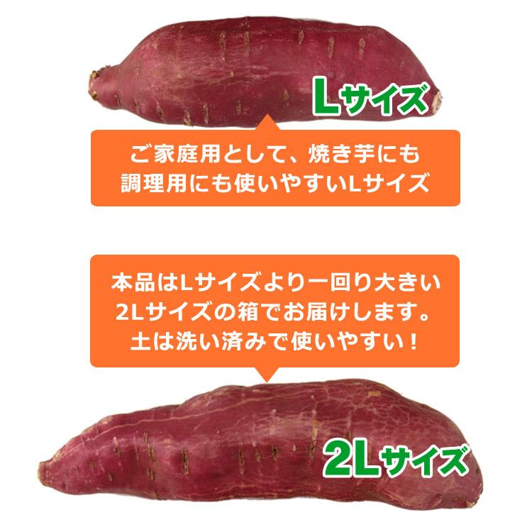 さつまいも なると金時  里むすめ 2L 5kg 自家用 徳島県鳴門市里浦町産 国産 野菜 送料無料