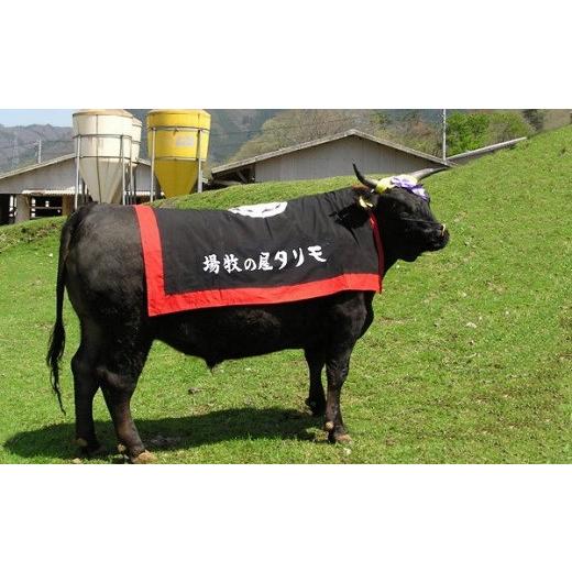 ふるさと納税 京都府 京丹波町 京都肉 切り落とし 500g 京都 モリタ屋 丹波 牛肉　[010MT001]