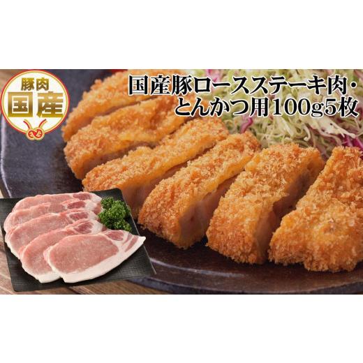 ふるさと納税 高知県 高知市 国産豚ロースステーキ肉・とんかつ用約500g 豚肉 トンカツ トンテキ ぶた ブタ