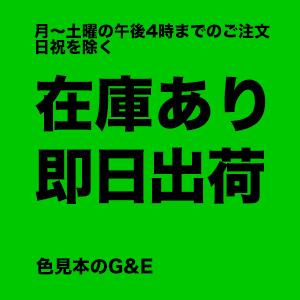 DICカラーガイド 日本の伝統色 第9版 色見本