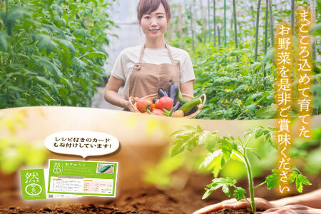 ＜畑から直送＞季節のお野菜セット