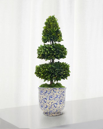 Rodeo Boxwood Topiary