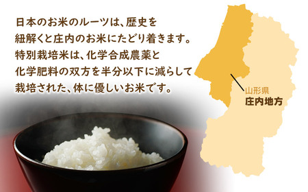 新米 山形県庄内産 特別栽培米 つや姫10kg（5kg×2） 鶴岡米穀商業協同組合