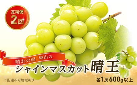 ぶどう 2024年 先行予約 晴れの国 岡山の シャイン マスカット 晴王 定期便 2回（各1房600g以上） 葡萄 岡山県産 国産 フルーツ 果物 ギフト